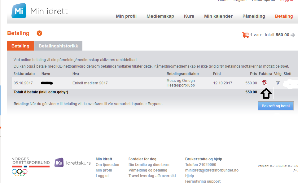 Betaling med nettbank